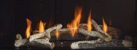 Regency City Series Gas Fireplace Glass Crystals Birch Log Sets Regency City Series Gas Fireplace Glass Crystals Birch Log Sets