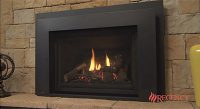 Regency Liberty LRI6E Large Gas Insert