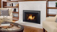 LRI4E Regency Gas Insert Feature