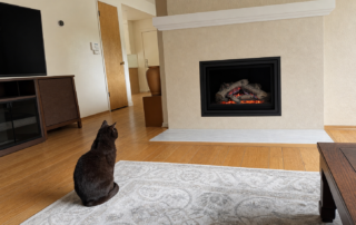 Walnut Creek Fireplace Remodel 2026 05 02